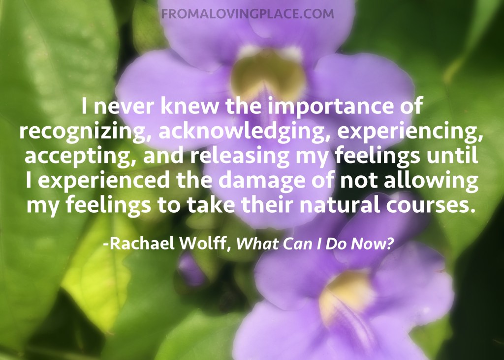 What Can I Do Now? #2 Experience my Feelings