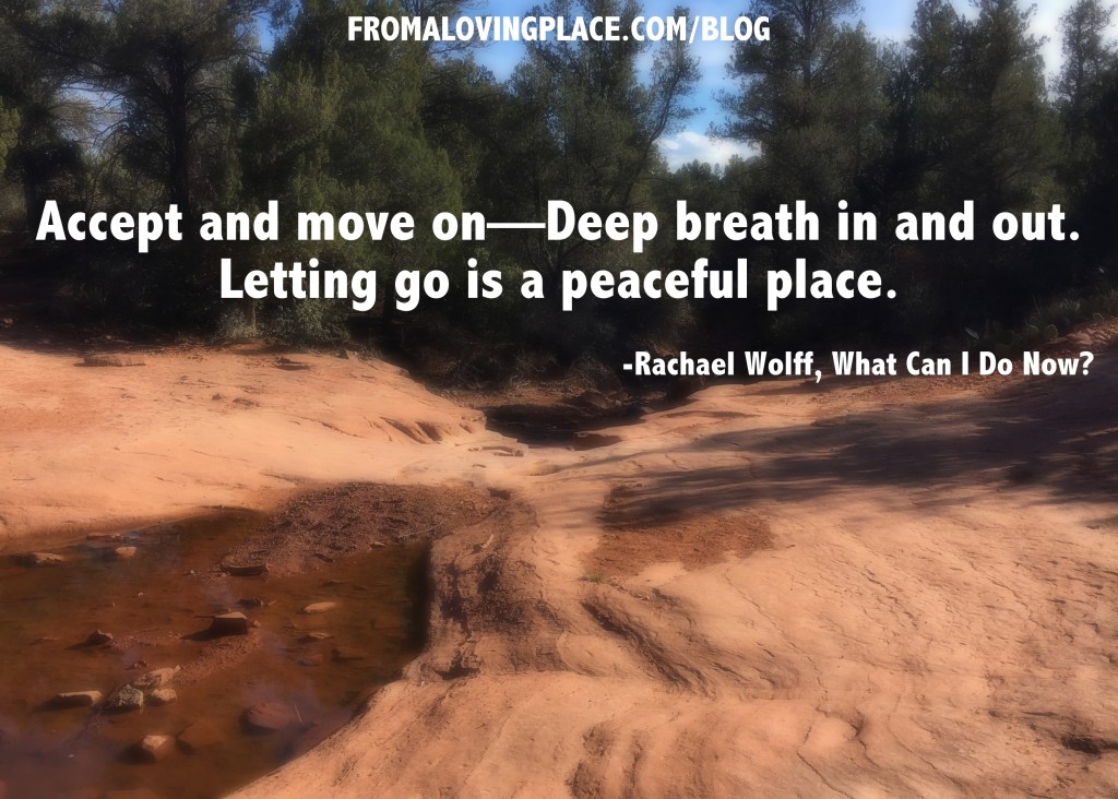 #19 What Can I Do Now? Accept and Move&nbsp;On