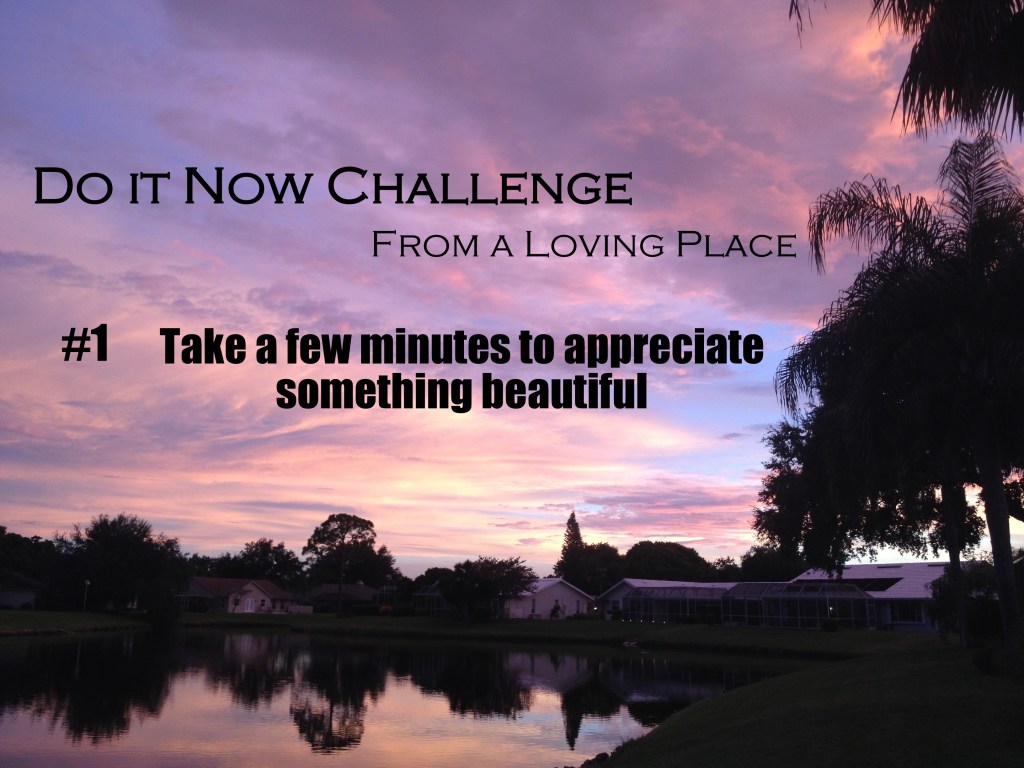 Do It NOW Challenge&nbsp;#1